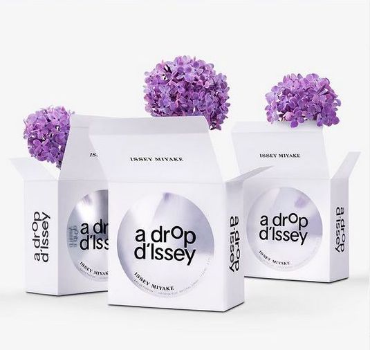 Drop d'issey Heidelberg - Issey Miyake